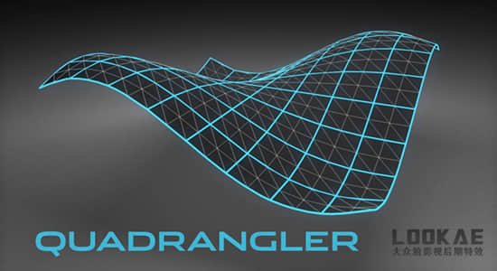 C4D插件-多边形布线优化工具 C4DPlugin Quadrangler v1.20